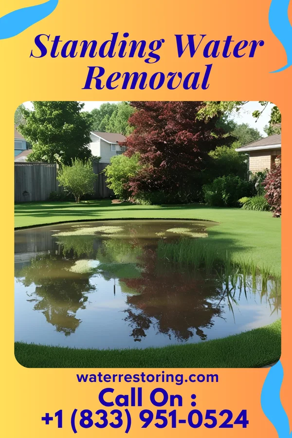 Standing Water Removal in Osceola Mills, PA